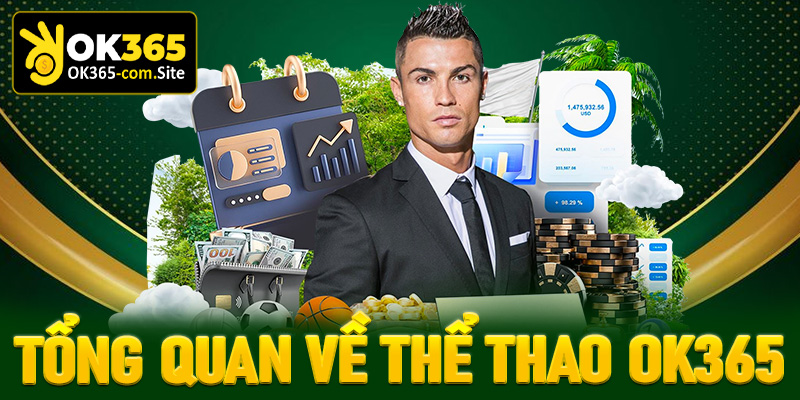 Khái quát tổng quan chung về sảnh thể thao OK365