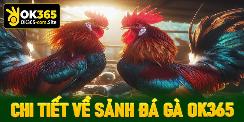 Chi tiết về sảnh đặt cược đá gà OK365