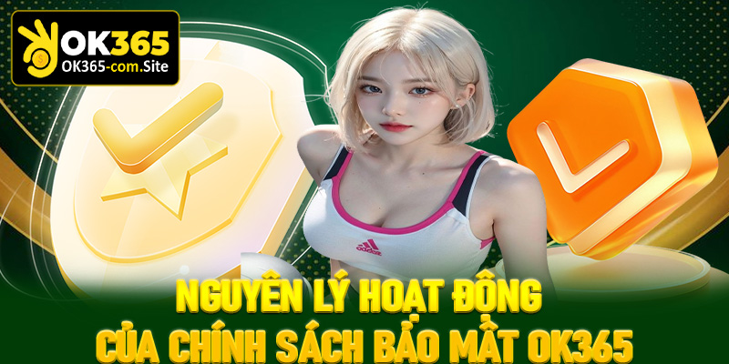 Tìm hiểu về nguyên lý hoạt động của chính sách bảo mật Ok365