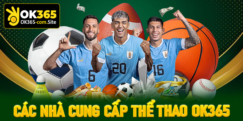 Gọi tên các nhà cung cấp tiềm năng tại thể thao OK365