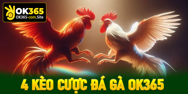 Khám phá 4 kèo cược đá gà Ok365 hấp dẫn nhất hiện nay