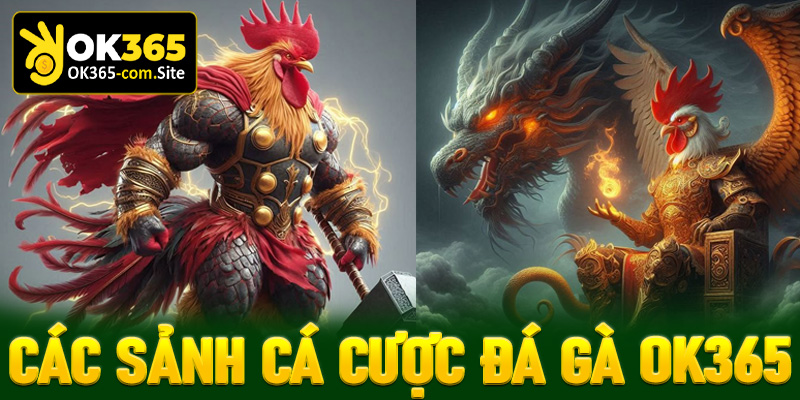 Các sảnh cá cược đá gà OK365 hot nhất tại Việt Nam